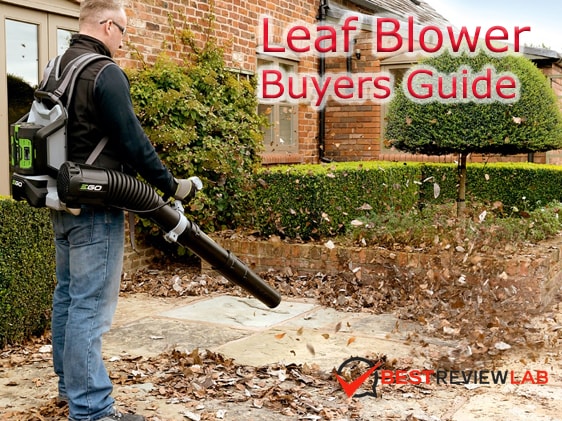 leaf blower buyers guide article thumbnail-min